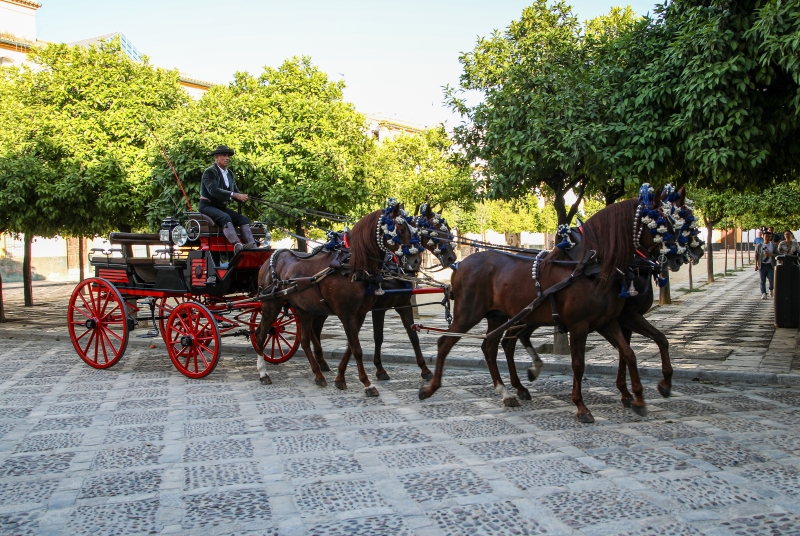 Seville Spain May 2019